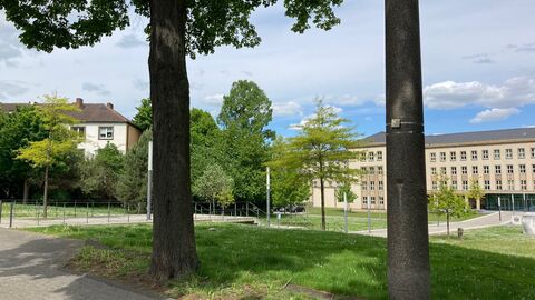 Grüne Wiesen und Bäume, im Hintergrund das verkäufliche Denkmal und das Bundessozialgericht.