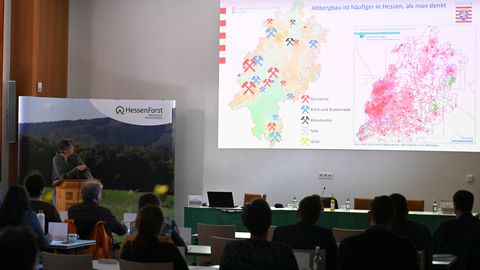 Altbergbau - ein oft unterschätztes Phänomen