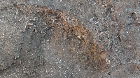 Knochenfunde in Maintal