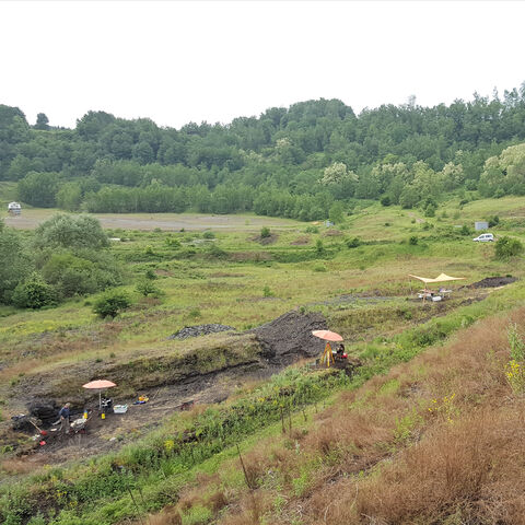 Foto der Grube Messel